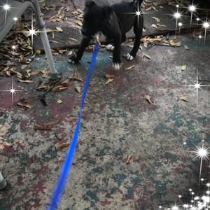 Meet your Posher, Don